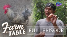 Farm To Table: Chef JR Royol learns the differences of waterfowl birds | Full Episode