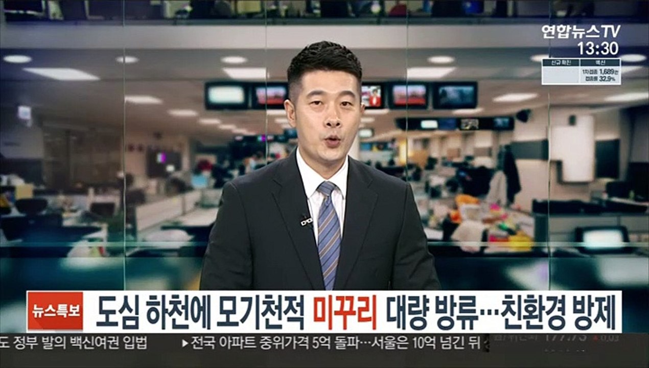 도심 하천에 모기천적 미꾸리 대량 방류…친환경 방제