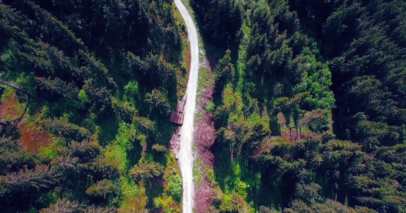 world longest road