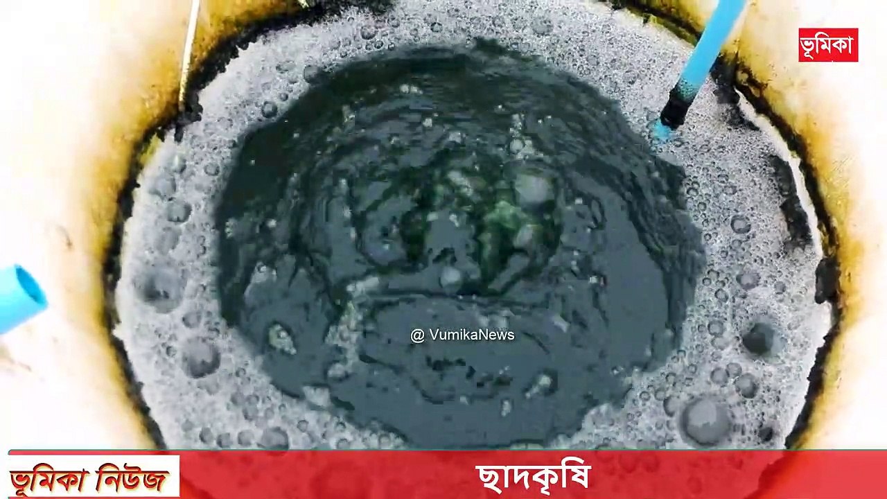 Rooftop Garden | Rooftop farming Roof Gardening | ছাদকৃষি