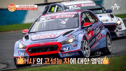 [차차차] 세계 시장이 주목! 100대 한정 에디션 완판된 'N라인'