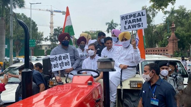 Watch: Rahul Gandhi drives tractor to parliament to support farmers' protest