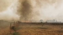 Incendi nell'Oristanese, salvataggio animali a Scano di Montiferro (26.07.21)