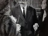 The Addams Family Season 1 Episode 31 Uncle Festers Toupee