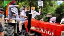 Farmers के समर्थन में Tractor चलाकर संसद पहुंचे Rahul Gandhi