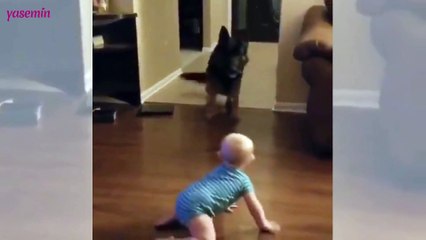 Bebeğin köpekle kovalamaca oynadığı anlar...