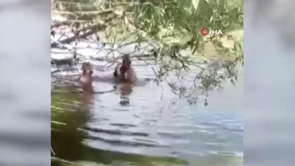 Nehre daldı, elleriyle balık tuttu