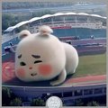 Cute fat bunny thrown into the soccer stadium so funny rabbit