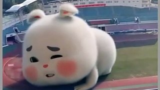 Cute fat bunny thrown into the soccer stadium so funny rabbit
