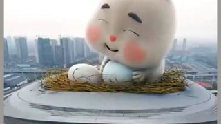 Cute fat bunny is crying because the eggs are fried so funny rabbit