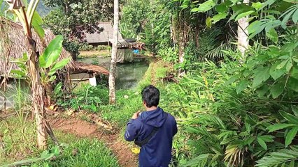 the beauty of countryside I Pangandaran, Indonesian