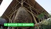 Héros verts : les maisons de bambou