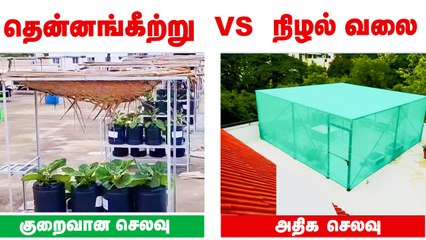 மாடித்தோட்டத்தில் தென்னங்கீற்று.. மிச்சமாகும் செலவு |Terrace Garden