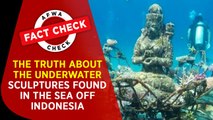 Fact Check: Truth about underwater sculptures found in the sea off Indonesia