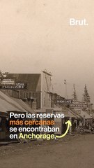 Cómo cientos de perros salvaron a un pueblo entero