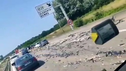 سقطت كبسولات القهوة على الطريق فقام السائقون بهذا الأمر: فيديو طريف