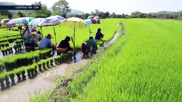Kampanya vs. Iligal na droga sa Cordillera region, pinalakas din; impluwensya ng grupong CPP-NPA-NDF sa hilagang Luzon, humihina na #SONA2021 #PamanaNgPagbabago #DigongParaSaBayan