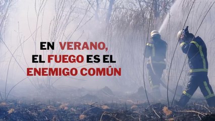 Este verano, el fuego es el enemigo común