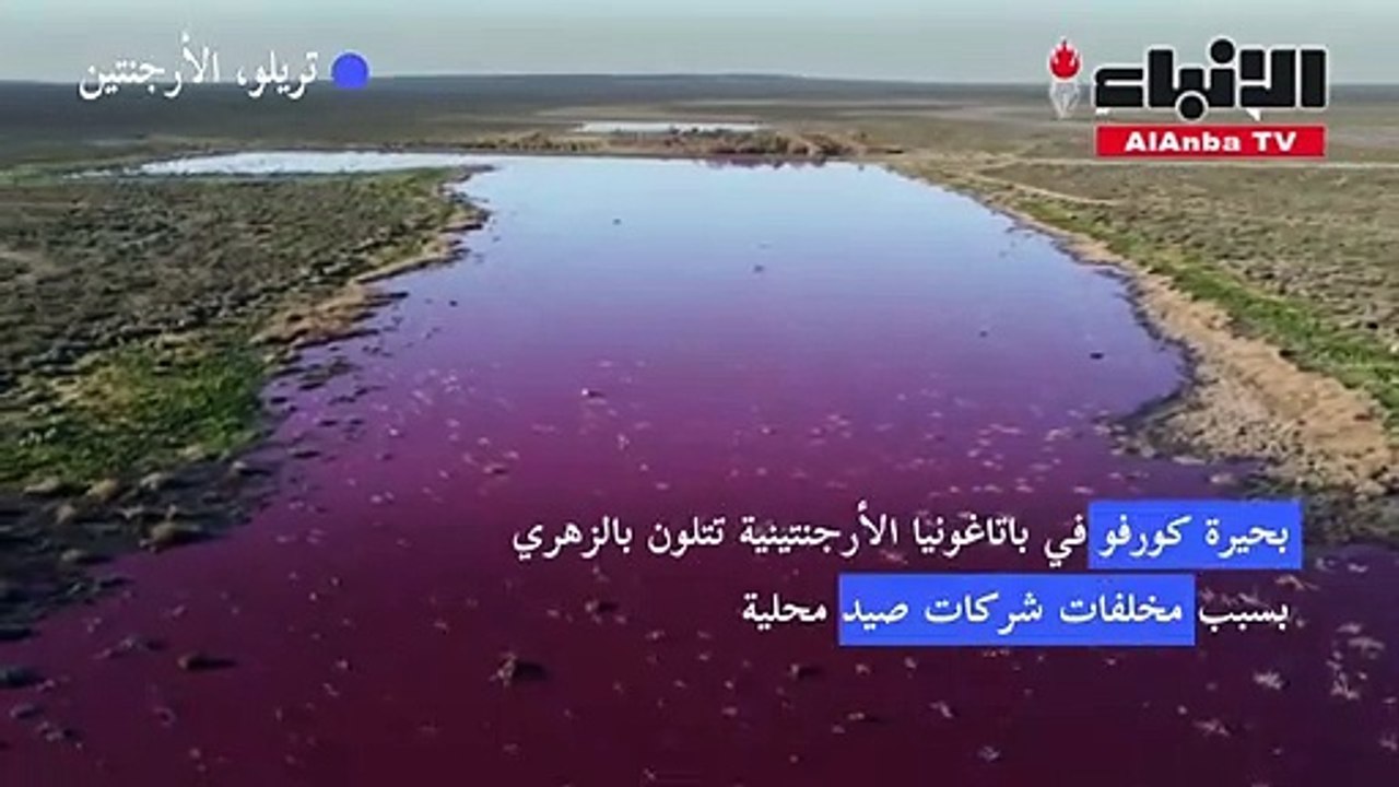 بحيرة في باتاغونيا الأرجنتينية تتلون بالزهري بسبب مخلفات شركات صيد