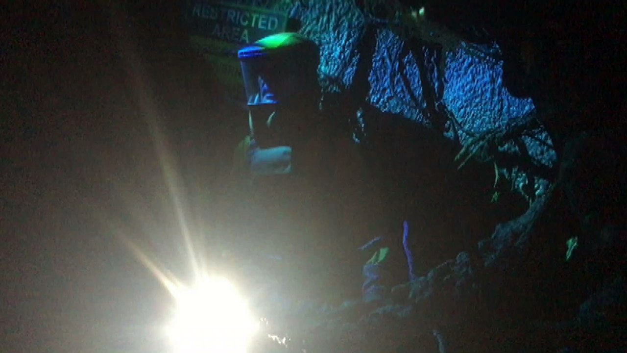 Stock Footage 2019 Trapped Explorer
