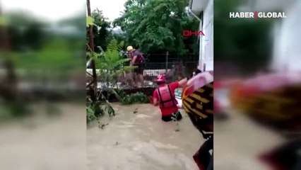 Selin ortasında barınaktaki köpekler için mücadele ettiler