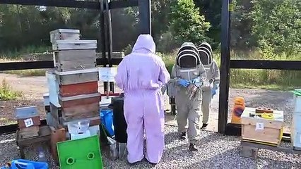 Harrogate and Ripon Beekeepers