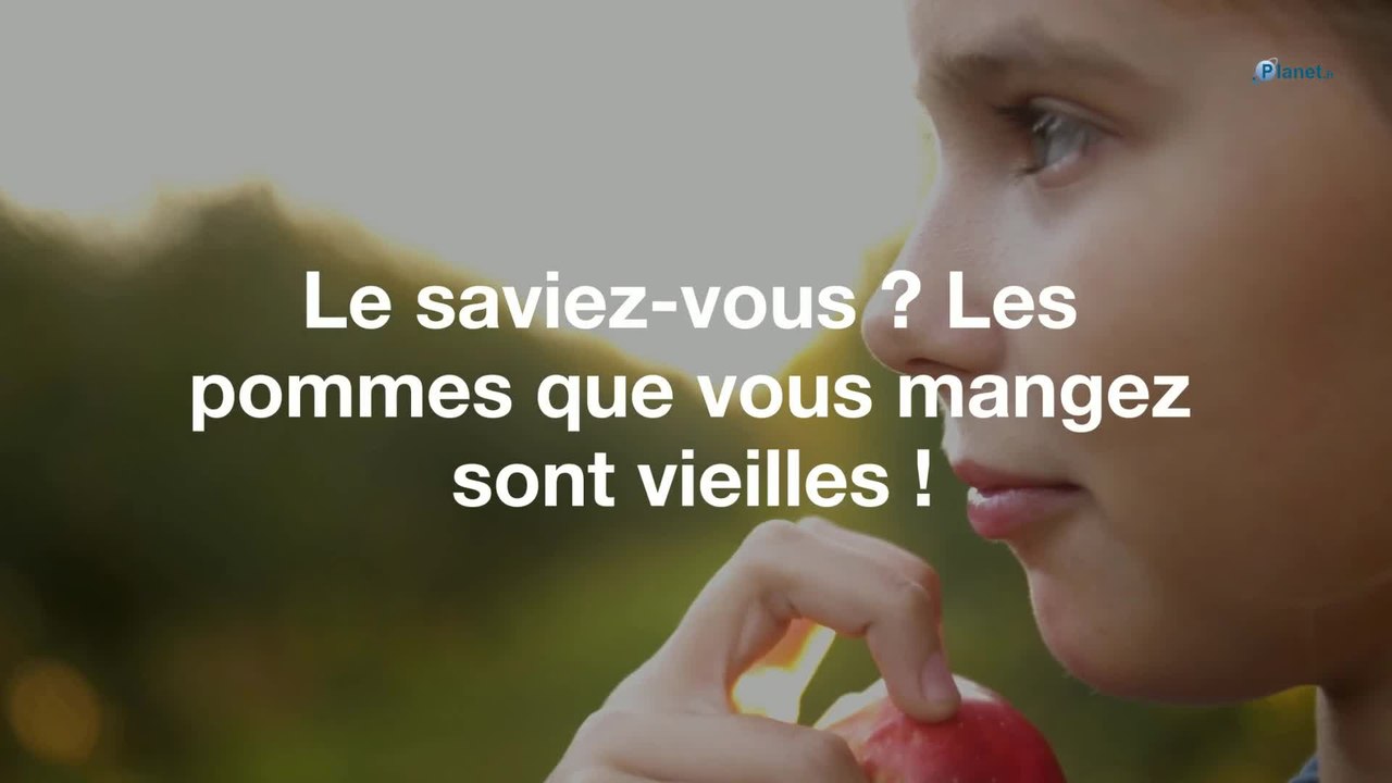 Le saviez-vous ? Les pommes que vous mangez sont vieilles !