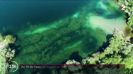 Bas-Rhin : à la découverte des lagons de Lauterbourg