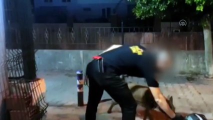 MUĞLA - Marmaris'te zeytinyağı tenekelerinde gizlenmiş uyuşturucu ele geçirildi