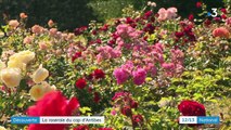 Alpes-Maritimes : à la découverte des jardins de la Villa Eilenroc