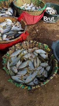 Les pêcheurs de Ziguinchor contre les accords de pêche