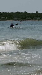 Thresher Shark in Rhode Island Gets Close to Kayaker
