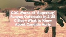 CDC Warns of 'Superbug' Fungus Outbreaks in 2 US Cities—What to Know About Candida Auris