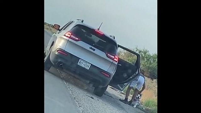 Une famille filmée en train d'abandonner son chien en plein désert !
