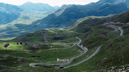 En busca del violín perfecto - Tráiler VOSE