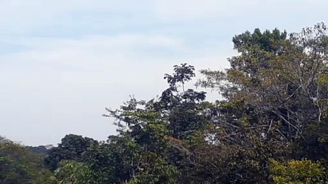 Airbus A320 PR-MYW na aproximação final antes de pousar em Manaus vindo de Guarulhos