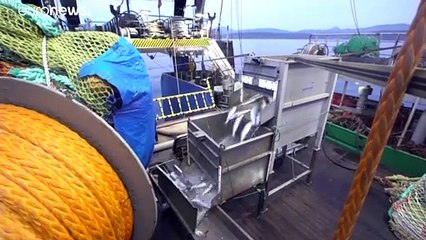 Курилы: "Протест не принимается"