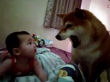 Newly Woken Baby Smiles at Shiba