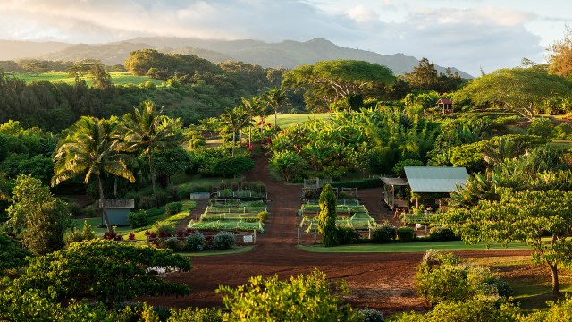 You Can Harvest Your Own Vegetables, Golf With Ocean Views, and Celebrate Hawaiian History at This Kauai Resort