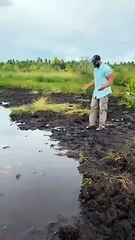 O sujeito que tirou os chinelos para atravessar uma pequena poça de água…