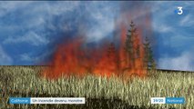 Californie : comment les incendies peuvent-il générer d'autres incendies ?