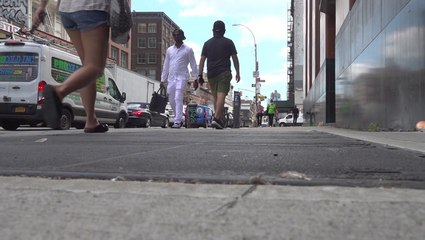 NJ Congresswoman introducing legislation that would set aside millions for trees