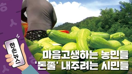 [15초뉴스] 애호박 산지 폐기 소식에...농민들 '돈쭐' 내주려는 시민들 / YTN