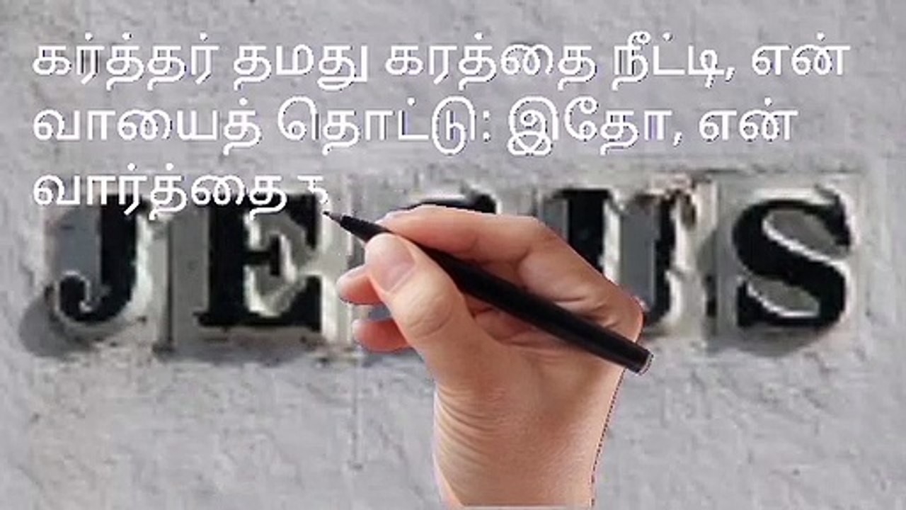 bible quotes