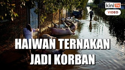 Petani China terpaksa lihat mata pencarian dihanyut banjir