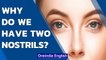 All mammals have two nostrils, have you wondered why? | Oneindia News