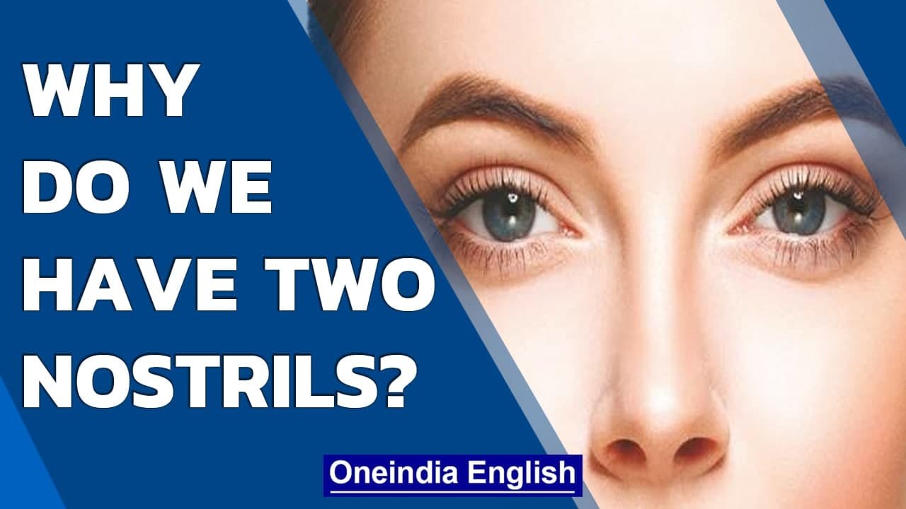 All mammals have two nostrils, have you wondered why? | Oneindia News