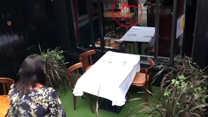 "Unbezahlbar": Irische Innengastronomie erstmals seit Dezember offen