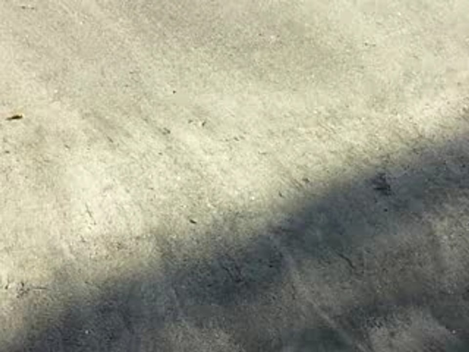 Le Diamant, Martinique, plage