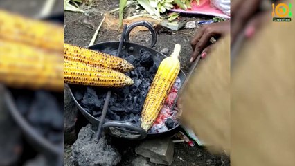 Street Food India - Bhutta (Roasting Corn)